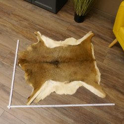 Mufflon Fell Vorleger Länge 94 cm weiblich B Ware 87.17.14