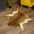 Mufflon Fell Vorleger Länge 97 cm weiblich B Ware 87.17.15