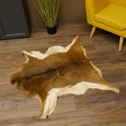 Mufflon Fell Vorleger Länge 97 cm weiblich B Ware 87.17.15