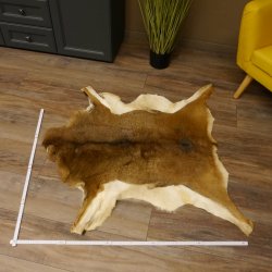 Mufflon Fell Vorleger Länge 97 cm weiblich B Ware 87.17.15