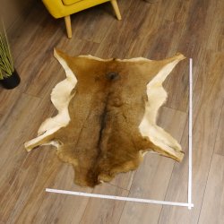 Mufflon Fell Vorleger Länge 97 cm weiblich B Ware 87.17.15