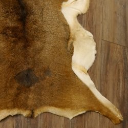 Mufflon Fell Vorleger Länge 97 cm weiblich B Ware 87.17.15