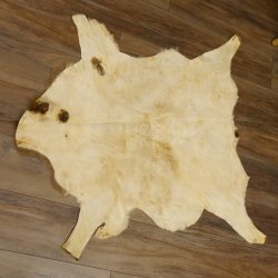 Mufflon Fell Vorleger Länge 97 cm weiblich B Ware 87.17.15