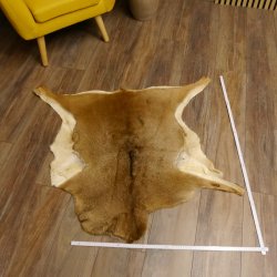 Mufflon Fell Vorleger Länge 95 cm weiblich B Ware 87.17.16