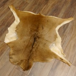 Mufflon Fell Vorleger Länge 95 cm weiblich B Ware 87.17.16