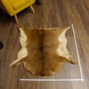 Mufflon Fell Vorleger Länge 95 cm weiblich B Ware...