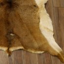 Mufflon Fell Vorleger Länge 95 cm weiblich B Ware 87.17.17