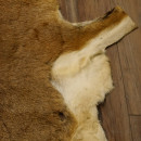 Mufflon Fell Vorleger Länge 95 cm weiblich B Ware 87.17.17