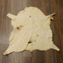 Mufflon Fell Vorleger Länge 95 cm weiblich B Ware 87.17.17