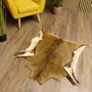 Mufflon Fell Vorleger Länge 99 cm weiblich B Ware...