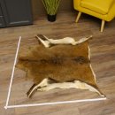 Mufflon Fell Vorleger Länge 99 cm weiblich B Ware 87.17.18