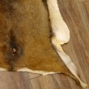 Mufflon Fell Vorleger Länge 99 cm weiblich B Ware 87.17.18
