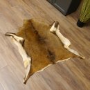 Mufflon Fell Vorleger Länge 99 cm weiblich B Ware 87.17.18
