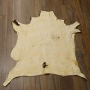 Mufflon Fell Vorleger Länge 99 cm weiblich B Ware 87.17.18