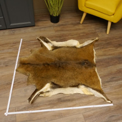 Mufflon Fell Vorleger Länge 99 cm weiblich B Ware 87.17.18