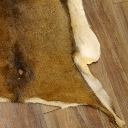Mufflon Fell Vorleger Länge 99 cm weiblich B Ware 87.17.18