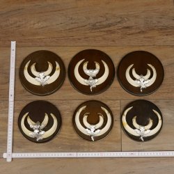 Keilerwaffen 6 Stück Wildschweinwaffen (Sus scrofa) für Bastler Trophäe Keiler Gewaff 31.68