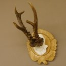 Rehgeweih Rehbock 6 er, Gewicht 318 g Reh Geweih Bock Gehörn Trophäenschild Neu 607.144