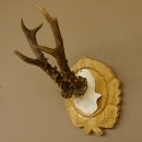 Rehgeweih Rehbock 6 er, Gewicht 318 g Reh Geweih Bock Gehörn Trophäenschild Neu 607.144