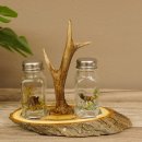 Salz + Pfeffer Streuer Menagen Set mit farbigen Jagdmotiv...