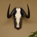 Gnu Weißschwanzgnu Schädeltrophäe HL 65 cm Afrika Antilope Schädel Trophäe Schild 88.9.49
