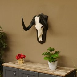 Gnu Weißschwanzgnu Schädeltrophäe HL 65 cm Afrika Antilope Schädel Trophäe Schild 88.9.49