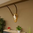 Wasserbock (Kobus ellipsiprymnus) Schädeltrophäe HL 79 cm auf Trophäenschild Schädel Trophäe 88.7.15