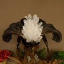 Birkhuhn Huhn Ganzpräparat Präparat Höhe 60 cm mit Herkunftsnachweis 90.2.19