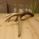 Schnapsanbieter 6 große Gläser Steckglas mit Stiel auf Rothirschstange Geschenk 27.60.2.35