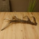 Schnapsanbieter 6 große Gläser Steckglas mit Stiel auf Rothirschstange Geschenk 27.60.2.35