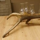 Schnapsanbieter 6 große Gläser Steckglas mit Stiel auf Rothirschstange Geschenk 27.60.2.35