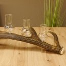 Schnapsanbieter 6 große Gläser Steckglas mit Stiel auf Rothirschstange Geschenk 27.60.2.35