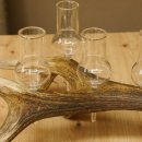 Schnapsanbieter 6 große Gläser Steckglas mit Stiel auf Rothirschstange Geschenk 27.60.2.35