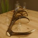 Schnapsanbieter 6 große Gläser Steckglas mit Stiel auf Rothirschstange Geschenk 27.60.2.35