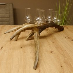 Schnapsanbieter 6 große Gläser Steckglas mit Stiel auf Rothirschstange Geschenk 27.60.2.35