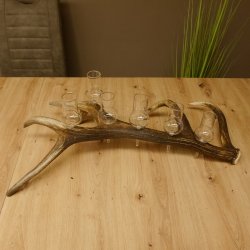 Schnapsanbieter 6 große Gläser Steckglas mit Stiel auf Rothirschstange Geschenk 27.60.2.35