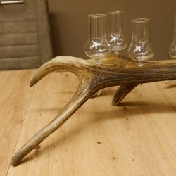 Schnapsanbieter 6 große Gläser Steckglas mit Stiel auf Rothirschstange Geschenk 27.60.2.35