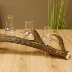 Schnapsanbieter 6 große Gläser Steckglas mit Stiel auf Rothirschstange Geschenk 27.60.2.35