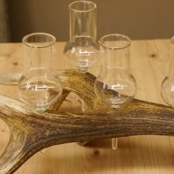 Schnapsanbieter 6 große Gläser Steckglas mit Stiel auf Rothirschstange Geschenk 27.60.2.35