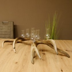 Schnapsanbieter 6 große Gläser Steckglas mit Stiel auf Rothirschstange Geschenk 27.60.2.35