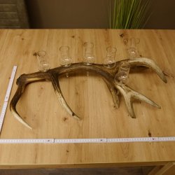 Schnapsanbieter 6 große Gläser Steckglas mit Stiel auf Rothirschstange Geschenk 27.60.2.35