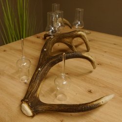 Schnapsanbieter 6 große Gläser Steckglas mit Stiel auf Rothirschstange Geschenk 27.60.2.35