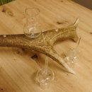 Schnapsanbieter 6 große Gläser Steckglas mit Stiel auf Rothirschstange Geschenk 27.60.2.36