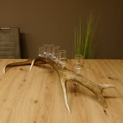 Schnapsanbieter 6 große Gläser Steckglas mit Stiel auf Rothirschstange Geschenk 27.60.2.36