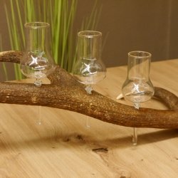 Schnapsanbieter 6 große Gläser Steckglas mit Stiel auf Rothirschstange Geschenk 27.60.2.36