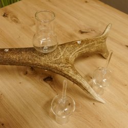 Schnapsanbieter 6 große Gläser Steckglas mit Stiel auf Rothirschstange Geschenk 27.60.2.36