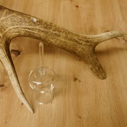 Schnapsanbieter 6 große Gläser Steckglas mit Stiel auf Rothirschstange Geschenk 27.60.2.36