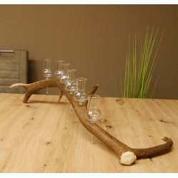 Schnapsanbieter 6 große Gläser Steckglas mit Stiel auf Rothirschstange Geschenk 27.60.2.36