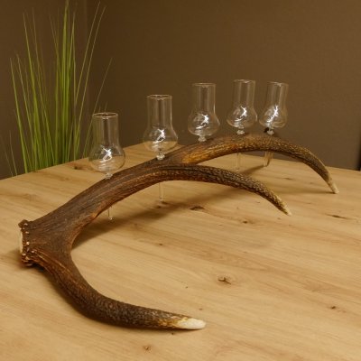 Schnapsanbieter 6 große Gläser Steckglas mit Stiel auf Rothirschstange Geschenk 27.60.2.37