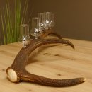 Schnapsanbieter 6 große Gläser Steckglas mit Stiel auf Rothirschstange Geschenk 27.60.2.37